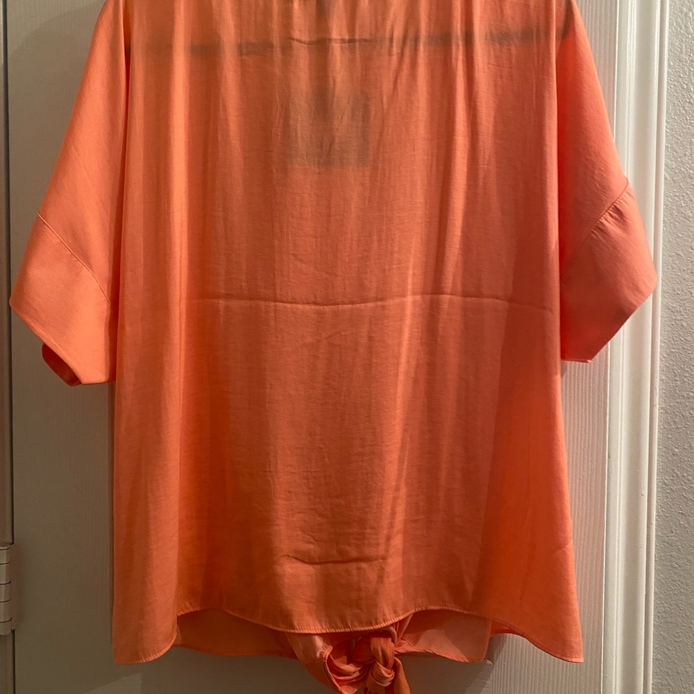 Orange Short Sleeve Blouse - Picture 4 of 4